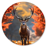 Hirsch im Herbstlaub