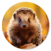 Süßer Igel